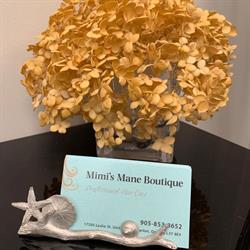 Mimi's Mane Boutique