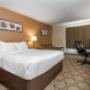 Guest room with queen bed(s) Guest room with queen bed(s)