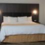 King room King room