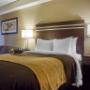 Guest room with added amenities Guest room with added amenities