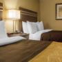 Guest room with two beds Guest room with two beds