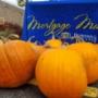 2019 Spooktacular Pumpkin Giveaway 2019 Spooktacular Pumpkin Giveaway