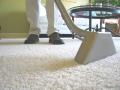 Carpet and Upholstery Cleaning