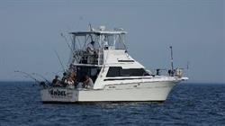 Seaangelcharters