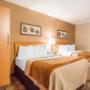 Guest room with double beds Guest room with double beds