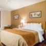Guest room with queen bed Guest room with queen bed