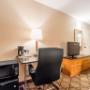 Guest room with microwave and refrigerator Guest room with microwave and refrigerator