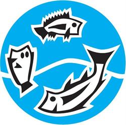 Angel Seafoods Ltd