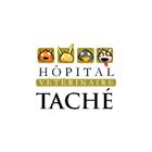 Veterinary Hospital Taché
