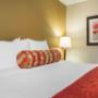 Suite with king bed Suite with king bed