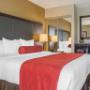 Guest room with added amenities Guest room with added amenities