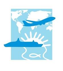 New Millennium Holidays
