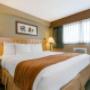 King bed King bed