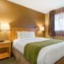 Queen suite Queen suite
