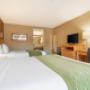 Guest room with queen bed(s) Guest room with queen bed(s)