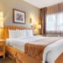 Guest room with king bed(s) Guest room with king bed(s)