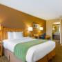 Guest room with queen bed(s) Guest room with queen bed(s)