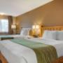 Guest room with queen bed(s) Guest room with queen bed(s)
