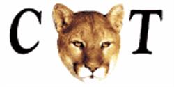 CAT Combustion Automation Technologies Inc