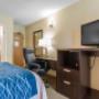 Guest room with microwave and refrigerator Guest room with microwave and refrigerator