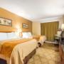 Guest room with double beds Guest room with double beds