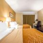 Guest room with added amenities Guest room with added amenities