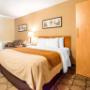 Guest room with queen bed Guest room with queen bed