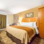 Guest room with king bed Guest room with king bed