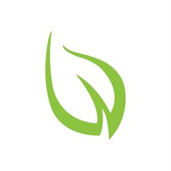 Westwood Developments Ltd