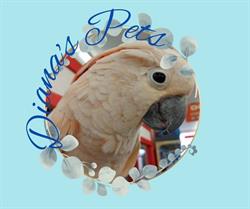 Diana's Pets & Trophies Ltd