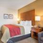 Guest room with king bed Guest room with king bed
