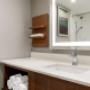 Guest room bath Guest room bath