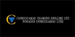 Forages Chibougamau Ltée