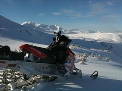 LORNE'S SMALL ENGINE