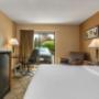 Guest room with king bed(s) Guest room with king bed(s)