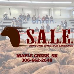 Cowtown Livestock Exchange Inc