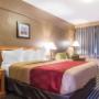 Guest room with queen bed Guest room with queen bed
