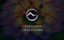 Caledonia Crosstown Dental Centre - York