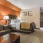 Queen suite Queen suite