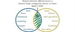 Tekara Organizational Effectiveness Inc