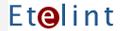 Etelint Consulting Inc