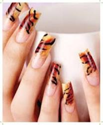 Five Stars Nails