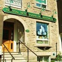 Hopital Veterinaire Westmount