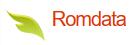 Romdata Services Informatiques
