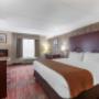 Jetted Tub & Fireplace | Suite-1 King Bed Jetted Tub & Fireplace | Suite-1 King Bed