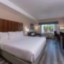 KD-P King Pet Friendly KD-P King Pet Friendly
