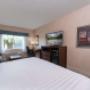 KD-P King Pet Friendly KD-P King Pet Friendly
