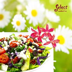 Select Sandwich Co.