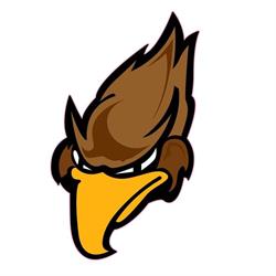 HICKSON CENTRAL P.S.