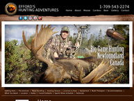 Efford's Hunting Adventures